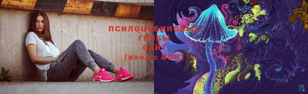 ПСИЛОЦИБИНОВЫЕ ГРИБЫ Верхнеуральск