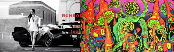 ПСИЛОЦИБИНОВЫЕ ГРИБЫ Верхнеуральск