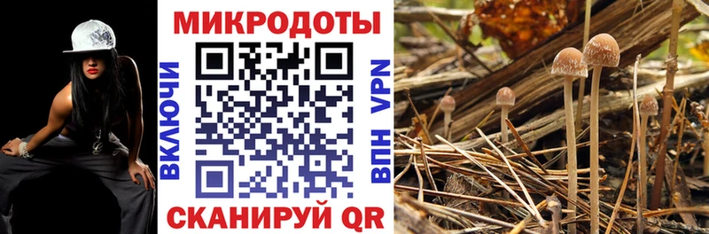 Псилоцибиновые грибы Psilocybe  ОМГ ОМГ маркетплейс  Новороссийск 